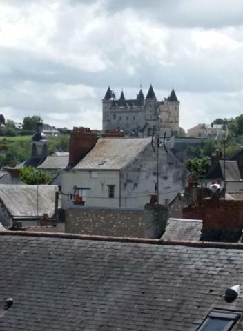 Appt 2Eme Etage Sur L'Ile De Saumur Zewnętrze zdjęcie